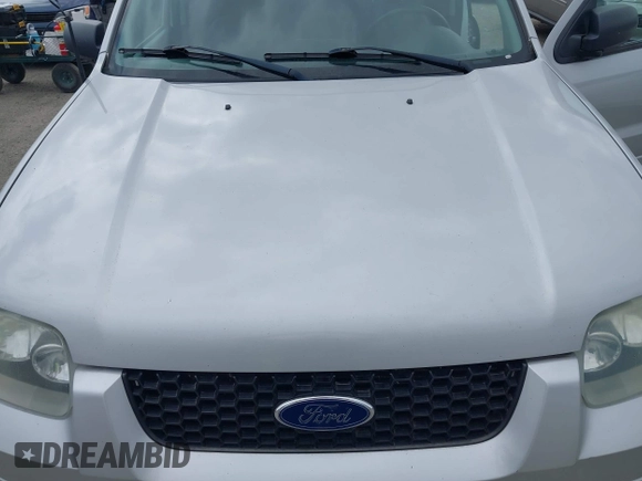 2006 Ford Escape Limited with VIN 1FMYU94196KC23595, listed as a IAAI auction lot 42737801 with 227,894 mi miles and . Bid and sale history available at DreamBid. Image 10.