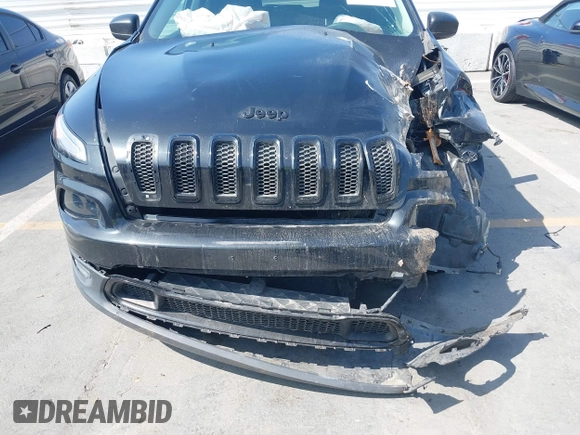 2016 Jeep Cherokee Sport with VIN 1C4PJLAB3GW315444, listed as a IAAI auction lot 40397087 with Not provided miles and . Bid and sale history available at DreamBid. Image 12.