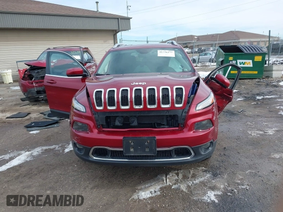 2017 Jeep Cherokee Limited with VIN 1C4PJMDS3HW545973, listed as a IAAI auction lot 41736177 with 131,299 mi miles. Bid and sale history available at carsss.com. Image 12.