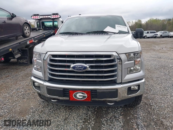 2016 Ford F-150 XLT with VIN 1FTEW1EF1GFB41139, listed as a IAAI auction lot 41867138 with 133,256 mi miles. Bid and sale history available at carsss.com. Image 12.
