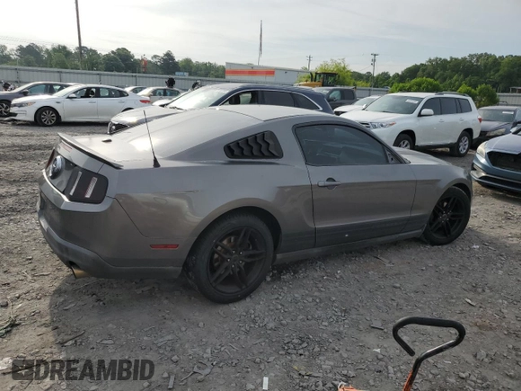 2010 Ford Mustang V6 с VIN 1ZVBP8AN8A5173733, выставлен на аукционе Copart как лот 56550295 с пробегом 217 597 миль миль и Чистый • Clean title. История ставок и продаж доступна на DreamBid. Изображение 3.