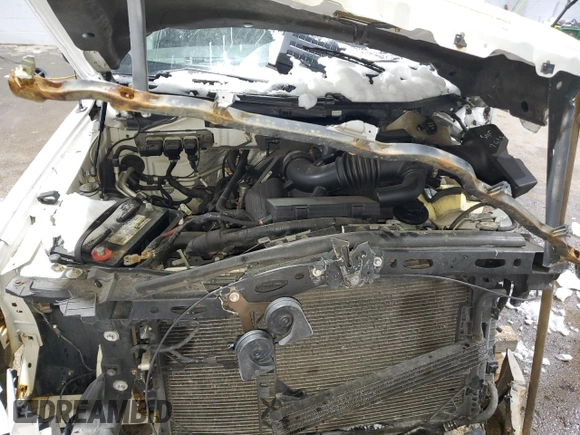 2010 Ford F-150 XL with VIN 1FTFW1EVXAFD69983, listed as a Copart auction lot 44758875 with 299,876 mi miles and Salvage Title. Bid and sale history available at DreamBid. Image 13.