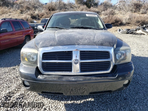 2006 Dodge Dakota SLT with VIN 1D7HW48K76S632981, listed as a Copart auction lot 43036995 with 211,057 mi miles and Clean Title. Bid and sale history available at carsss.com. Image 5.