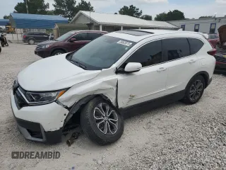 2020 Honda CR-V EX-L with VIN 2HKRW2H84LH680228, listed as a Copart auction lot 59563875 with 49,845 mi miles and Salvage title. Bid and sale history available at DreamBid. Image 1.
