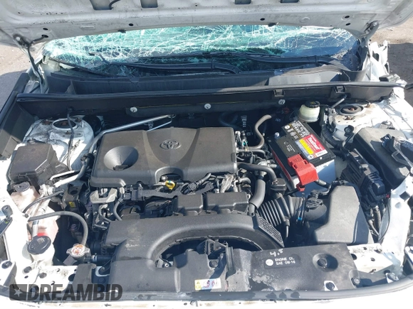 2019 Toyota RAV4 XLE with VIN JTMP1RFVXKD014440, listed as a IAAI auction lot 41877070 with 1 mi miles. Bid and sale history available at carsss.com. Image 10.