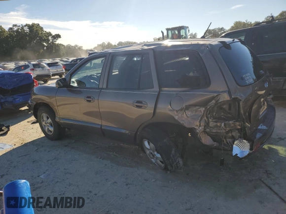 2005 Hyundai Santa Fe GLS with VIN KM8SC13D35U955102, listed as a Copart auction lot 76293854 with 107,406 mi miles and Salvage Title. Bid and sale history available at carsss.com. Image 2.
