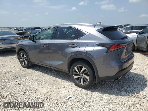 2019 Lexus NX 300 with VIN JTJBARBZ1K2183192, listed as a Copart auction lot 53644305 with 43,832 mi miles and Salvage Title. Bid and sale history available at DreamBid. Image 2.
