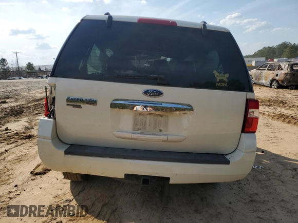 2007 Ford Expedition Limited with VIN 1FMFU19577LA46206, listed as a Copart auction lot 48800465 with Not provided miles and Salvage title. Bid and sale history available at DreamBid. Image 6.