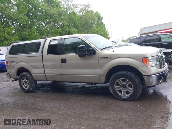 2010 Ford F-150 XL with VIN 1FTFX1EV0AFC83319, listed as a IAAI auction lot 42290517 with 166,472 mi miles and . Bid and sale history available at DreamBid. Image 13.