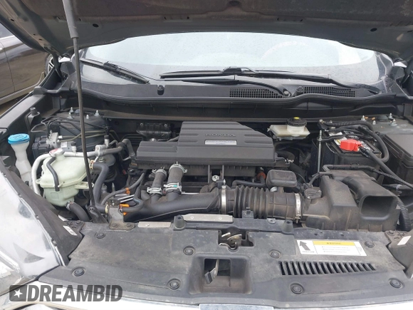 2019 Honda CR-V EX with VIN 2HKRW1H51KH516045, listed as a IAAI auction lot 41834293 with 113,438 mi miles. Bid and sale history available at carsss.com. Image 10.