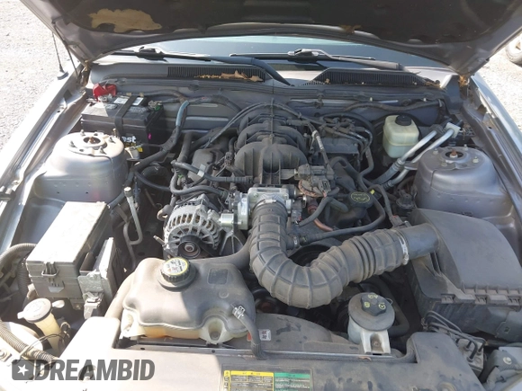 2007 Ford Mustang Deluxe with VIN 1ZVFT84N275210034, listed as a IAAI auction lot 42601412 with 78,078 mi miles and . Bid and sale history available at DreamBid. Image 10.