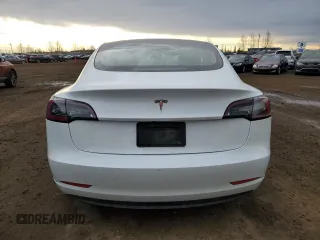 2023 Tesla Model 3 with VIN 5YJ3E1EA5PF484801, listed as a Copart auction lot 79766274 with 83,541 mi miles and Clean Title. Bid and sale history available at DreamBid. Image 6.