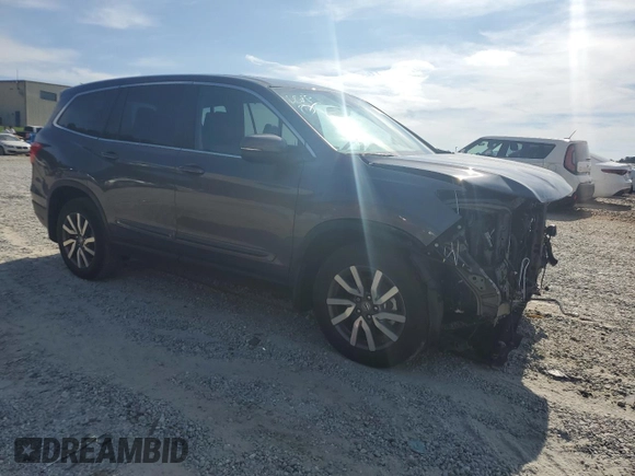 2019 Honda Pilot EX-L with VIN 5FNYF5H50KB034846, listed as a Copart auction lot 63022845 with 56,241 mi miles and Salvage title. Bid and sale history available at DreamBid. Image 4.