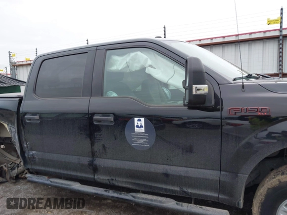 2018 Ford F-150 XL with VIN 1FTEW1EB0JKD85702, listed as a IAAI auction lot 41207356 with 136,528 mi miles. Bid and sale history available at carsss.com. Image 12.