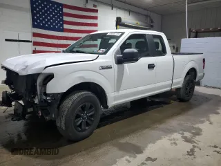 2019 Ford F-150 XL with VIN 1FTFX1E59KFA03611, listed as a Copart auction lot 48646745 with 110,351 mi miles and Salvage title. Bid and sale history available at DreamBid. Image 1.