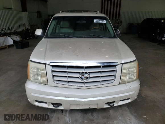 2002 Cadillac Escalade z VIN 1GYEC63T22R234266, wystawiony jako Copart lot #53041985 z przebiegiem 186 571 mil mil oraz Szkody całkowita. Historia ofert i sprzedaży dostępna na DreamBid. Obrazek 5.