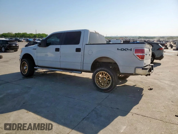 2013 Ford F-150 XL with VIN 1FTFW1EF8DFC27046, listed as a Copart auction lot 52782415 with 189,079 mi miles and Salvage Title. Bid and sale history available at DreamBid. Image 2.