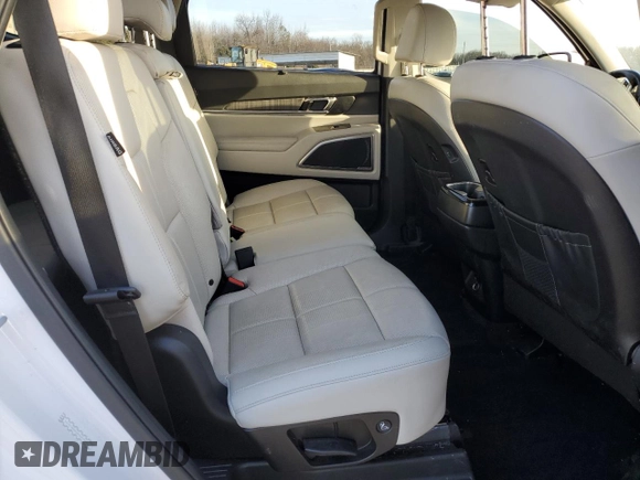 2023 Kia Telluride EX X-Line с VIN 5XYP3DGC5PG379241, выставлен на аукционе Copart как лот 45635465 с пробегом 59 775 миль миль и Чистый • Clean title. История ставок и продаж доступна на DreamBid. Изображение 11.