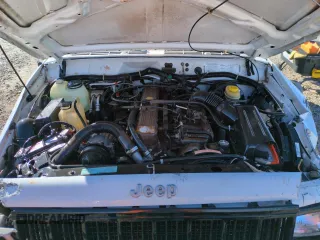 1995 Jeep Cherokee Sport with VIN 1J4FJ68S0SL502065, listed as a Copart auction lot 46431765 with 138,582 mi miles and Salvage Title. Bid and sale history available at carsss.com. Image 11.