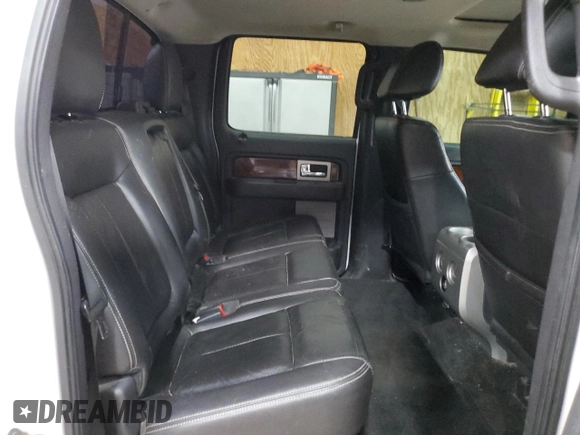 2010 Ford F-150 XL with VIN 1FTFW1EV1AFC96308, listed as a Copart auction lot 61661115 with 226,594 mi miles and Clean title. Bid and sale history available at DreamBid. Image 10.