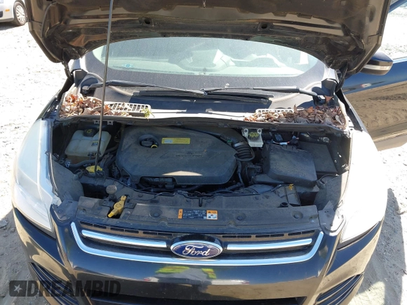 2013 Ford Escape SEL with VIN 1FMCU0HX3DUC67212, listed as a IAAI auction lot 42045568 with 142,382 mi miles. Bid and sale history available at carsss.com. Image 10.