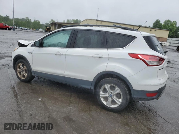 2014 Ford Escape SE with VIN 1FMCU9GX1EUE28700, listed as a Copart auction lot 59841745 with 135,210 mi miles and Salvage title. Bid and sale history available at DreamBid. Image 2.