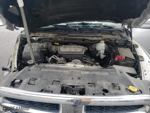 2010 Dodge Ram 1500 ST with VIN 1D7RV1GPXAS104475, listed as a Copart auction lot 86346264 with 258,870 mi miles and Salvage Title. Bid and sale history available at carsss.com. Image 12.