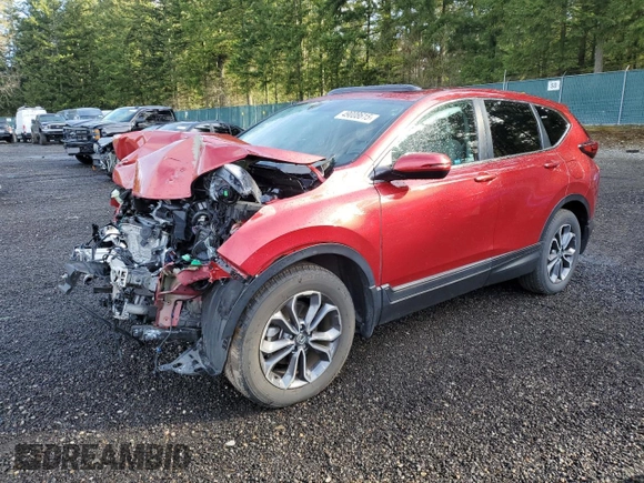2021 Honda CR-V EX with VIN 2HKRW2H53MH629083, listed as a Copart auction lot 49008615 with Not Provided miles and Salvage Title. Bid and sale history available at carsss.com. Image 1.
