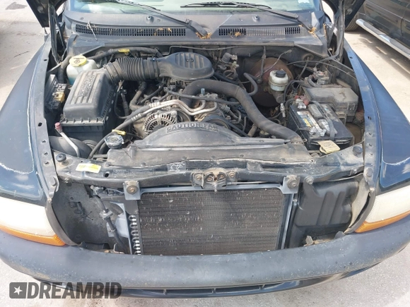1999 Dodge Dakota SLT z VIN 1B7GG22YXXS304489, wystawiony jako IAAI lot #42326703 z przebiegiem 183 490 mil mil oraz . Historia ofert i sprzedaży dostępna na DreamBid. Obrazek 10.