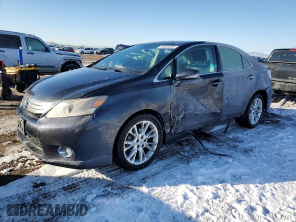 2010 Lexus HS 250h with VIN JTHBB1BA5A2003303, listed as a Copart auction lot 42003095 with Not Provided miles and Salvage Title. Bid and sale history available at DreamBid. Image 1.