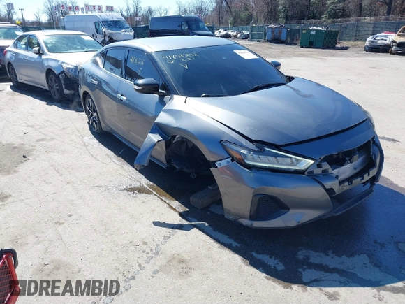 2021 Nissan Maxima SV z VIN 1N4AA6CV4MC508977, wystawiony jako IAAI lot #41858232 z przebiegiem 66 113 mil mil oraz . Historia ofert i sprzedaży dostępna na DreamBid. Obrazek 1.