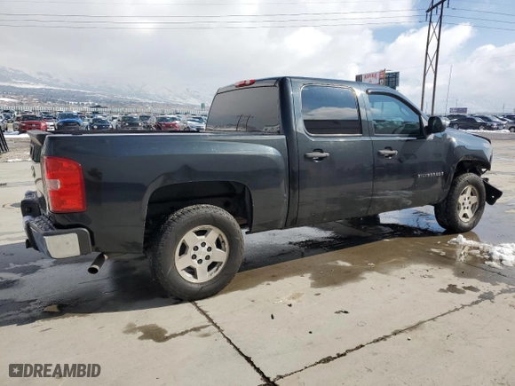 2009 Chevrolet Silverado 1500 LS with VIN 3GCEC13C29G250213, listed as a Copart auction lot 46454145 with 165,385 mi miles and Salvage Title. Bid and sale history available at carsss.com. Image 3.