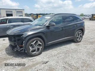 2023 Hyundai Tucson Limited with VIN 5NMJE3AE1PH290115, listed as a Copart auction lot 62642315 with 30,696 mi miles and Salvage title. Bid and sale history available at DreamBid. Image 1.