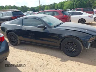 2013 Ford Mustang V6 with VIN 1ZVBP8AM4D5243305, listed as a IAAI auction lot 42162203 with 141,196 mi miles and . Bid and sale history available at DreamBid. Image 12.