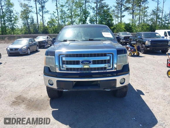 2013 Ford F-150 XL with VIN 1FTFX1EF4DFE09064, listed as a IAAI auction lot 42019665 with 249,430 mi miles. Bid and sale history available at carsss.com. Image 12.
