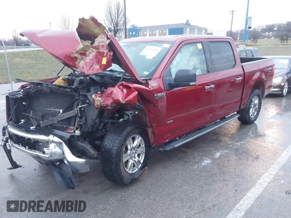 2016 Ford F-150 XLT with VIN 1FTEW1EP7GKD30796, listed as a IAAI auction lot 41213566 with Not provided miles and . Bid and sale history available at DreamBid. Image 2.