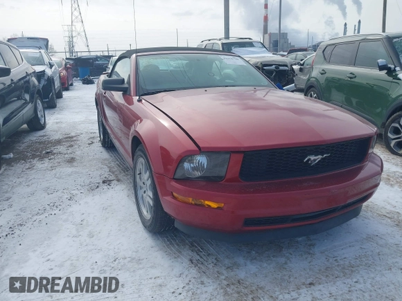 2008 Ford Mustang Deluxe with VIN 1ZVHT84NX85170490, listed as a IAAI auction lot 41608708 with 153,081 mi miles and . Bid and sale history available at carsss.com. Image 1.