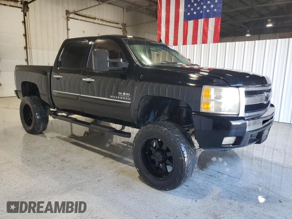 2009 Chevrolet Silverado 1500 LT with VIN 3GCEC23J49G269222, listed as a Copart auction lot 48574145 with 176,887 mi miles and Clean Title. Bid and sale history available at carsss.com. Image 4.