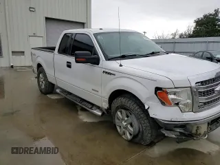 2013 Ford F-150 XL with VIN 1FTFX1ET9DFA03464, listed as a Copart auction lot 48039815 with 256,940 mi miles and Salvage Title. Bid and sale history available at carsss.com. Image 11.