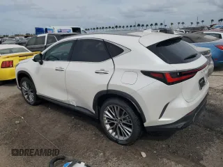 2022 Lexus NX with VIN JTJHKCEZ1N5002627, listed as a Copart auction lot 74983514 with 19,228 mi miles and Non Repairable. Bid and sale history available at carsss.com. Image 2.