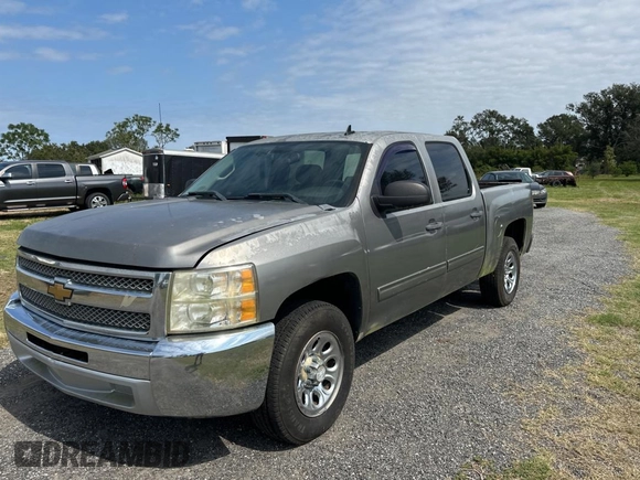 2013 Chevrolet Silverado 1500 LT with VIN 3GCPCSEA9DG215414, listed as a Copart auction lot 76802894 with 230,791 mi miles and Clean Title. Bid and sale history available at DreamBid. Image 2.