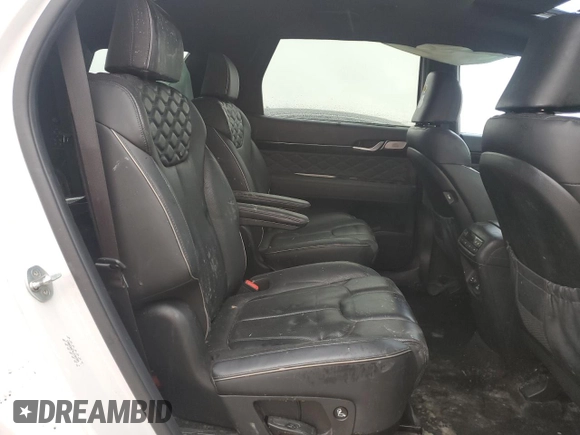 2020 Hyundai Palisade Limited with VIN KM8R5DHE9LU102289, listed as a Copart auction lot 54194415 with 98,282 mi miles and Salvage title. Bid and sale history available at DreamBid. Image 11.