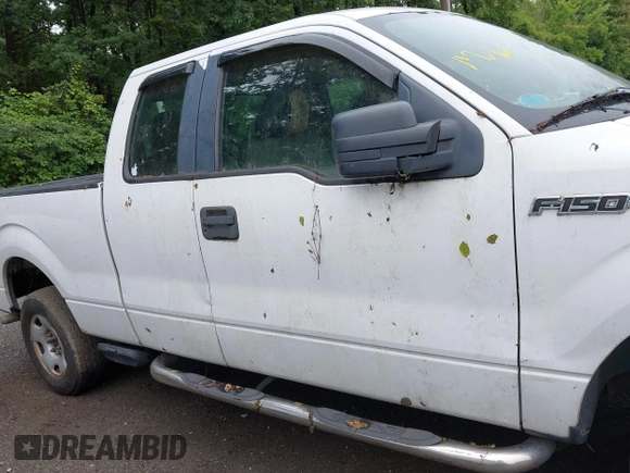 2010 Ford F-150 XL with VIN 1FTEX1E80AFA49736, listed as a IAAI auction lot 42514315 with 153,567 mi miles and . Bid and sale history available at DreamBid. Image 13.