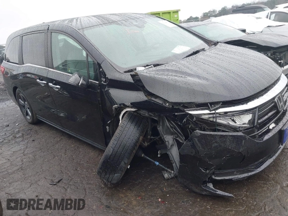 2021 Honda Odyssey EX with VIN 5FNRL6H53MB010305, listed as a IAAI auction lot 41028592 with 39,368 mi miles and . Bid and sale history available at DreamBid. Image 1.