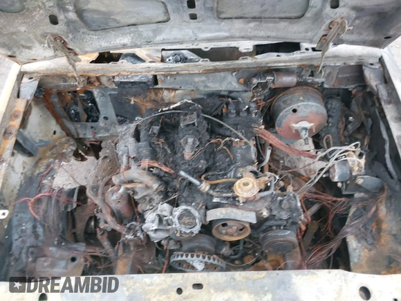 1998 Ford Explorer XL with VIN 1FMZU34E6WUA39787, listed as a IAAI auction lot 41905514 with 198,306 mi miles and . Bid and sale history available at DreamBid. Image 10.