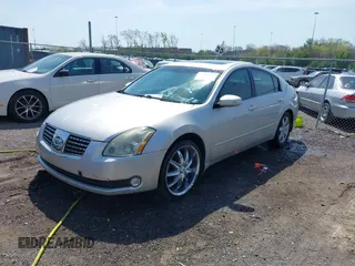 2004 Nissan Maxima SL with VIN 1N4BA41E84C822059, listed as a IAAI auction lot 42032195 with 213,650 mi miles. Bid and sale history available at carsss.com. Image 2.