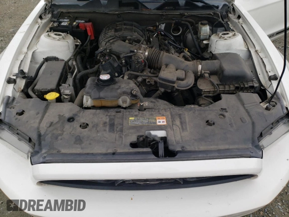 2013 Ford Mustang V6 with VIN 1ZVBP8AM3D5271855, listed as a Copart auction lot 50033585 with 140,675 mi miles and Salvage Title. Bid and sale history available at carsss.com. Image 11.