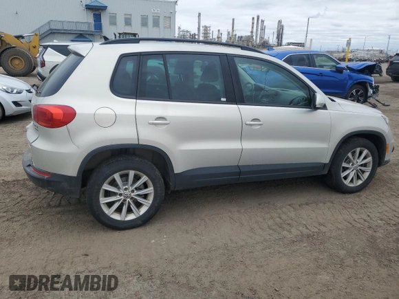 2013 Volkswagen Tiguan S with VIN WVGJV3AX0DW561431, listed as a Copart auction lot 55918795 with 246,907 mi miles and Salvage title. Bid and sale history available at DreamBid. Image 3.