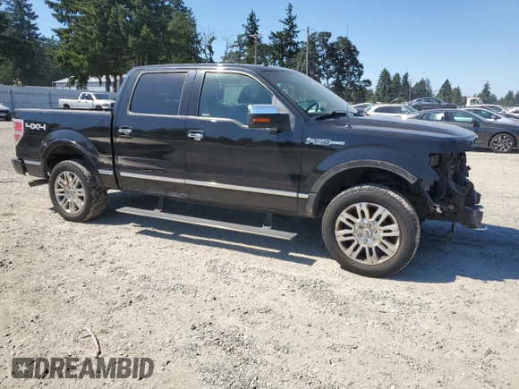 2009 Ford F-150 XL with VIN 1FTPW14V59FA44112, listed as a Copart auction lot 63436815 with 255,464 mi miles and Salvage title. Bid and sale history available at DreamBid. Image 4.