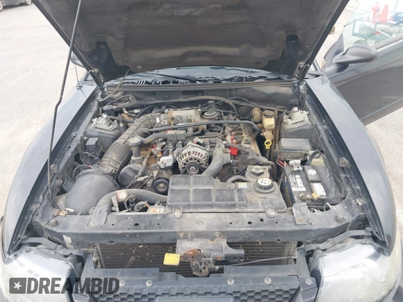2001 Ford Mustang GT Deluxe с VIN 1FAFP45X81F227055, выставлен на аукционе IAAI как лот 42026993 с пробегом 150 250 миль миль и . История ставок и продаж доступна на DreamBid. Изображение 10.
